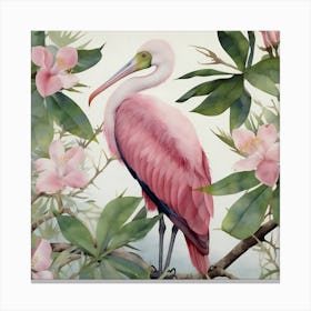 Pink Spoonbill Canvas Print