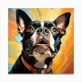 Boston Terrier 7 Canvas Print