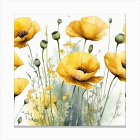 Yellow Poppies 2 Canvas Print