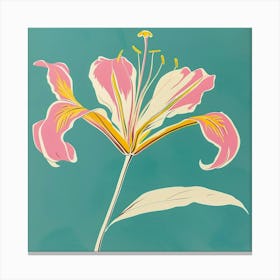 Gloriosa Lily 1 Square Flower Illustration Canvas Print
