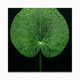 Lily Of The Valley Canvas Print