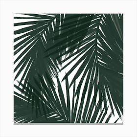 Green Palms Square Canvas Print