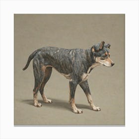 Kangaroo Dog 1 Canvas Print