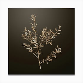 Gold Botanical Myrtle Dahoon Branch on Chocolate Brown n.4361 Canvas Print