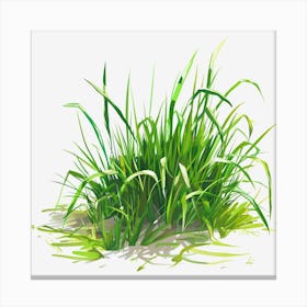 Watercolor-Spring-Grass-Clipart.16 Canvas Print