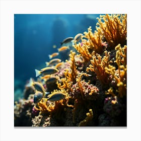 Coral Reef9 Canvas Print