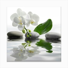 White Orchids In Water Canvas Print