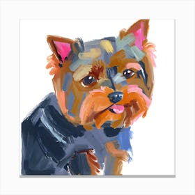 Yorkshire Terrier 03 Canvas Print