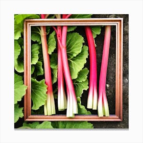 Rhubarb 72 Canvas Print