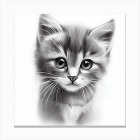 Furry Elegance Canvas Print