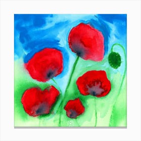 Poppies - flowers floral red green blue square Canvas Print