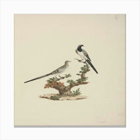 Two Birds Perched On A Branch 1 Canvas Print