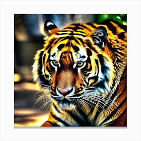 Tiger 18 Canvas Print