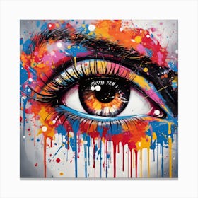 Eye Of The Painter Canvas Print
