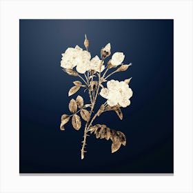 Gold Botanical White Rose on Midnight Navy n.4833 Canvas Print