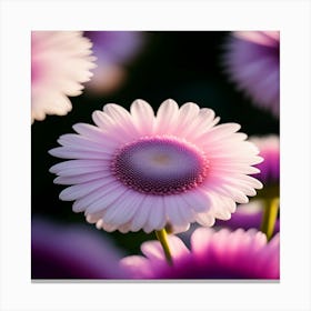 Pink Daisy Canvas Print