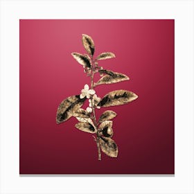 Gold Botanical Tea Tree on Viva Magenta n.1017 Canvas Print
