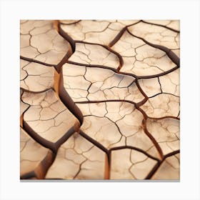 Cracked Dry Land Canvas Print