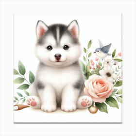 Baby Husky Canvas Print