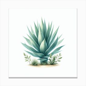 Agave 3 Canvas Print