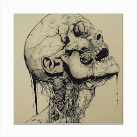 Skull Head 1 Canvas Print