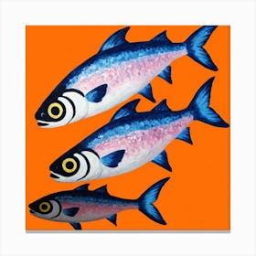 Three Fish 2 Canvas Print