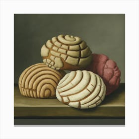 Conchas 2 Fy S Canvas Print