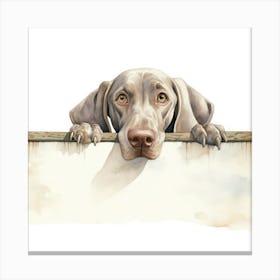 Weimaraner Dog 1 Canvas Print