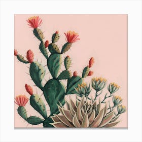 Cactus Canvas Print