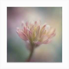 A Close Up Of A Delicategentle Petals Bud Just Beginning To Bloom, With Soft Petals And Hints Of Vib (2) Canvas Print