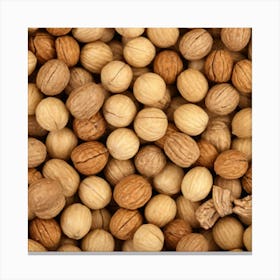 Walnuts 2 Canvas Print