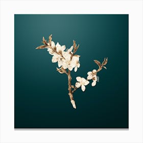 Gold Botanical Almond Tree Flower on Dark Teal n.2548 Canvas Print