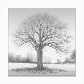 Bare Tree 4 Canvas Print