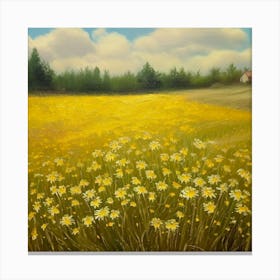 Daisy Field Canvas Print