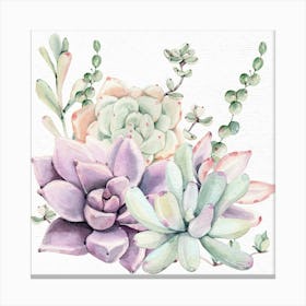 Pretty Succulents Watercolor Painting Canvas Print