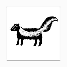 Skunk Canvas Print