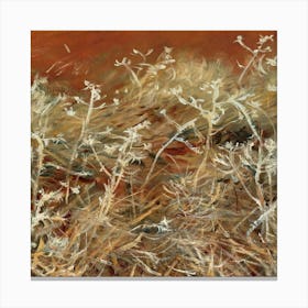 'Dry Grass' 1 Canvas Print