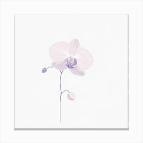 "Ethereal Orchid: Delicate Beauty"  "Ethereal Orchid" celebrates the delicate beauty and subtle elegance of the beloved flower. This digital art piece, with its soft lavender hues and gentle lines, offers a modern take on botanical art. Ideal for adding a touch of sophisticated floral charm to any space, this artwork captures the orchid's serene and graceful poise. Perfect for those who appreciate the refined simplicity and timeless allure of nature's own masterpieces. Canvas Print