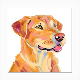 Labrador Retriever 01 Canvas Print
