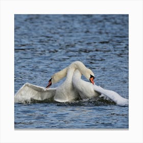 Swans In Flight Canvas Print