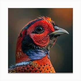 Pheasant 1 Canvas Print