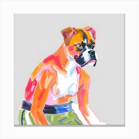 Boxer 01 Canvas Print