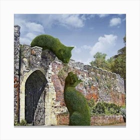 Two Cats In A Garden Canvas Print