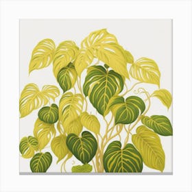 Philodendron myluckycharm Canvas Print