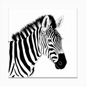 Zebra Canvas Print