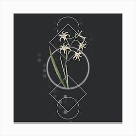 Vintage Gladiolus Cuspidatus Botanical with Geometric Line Motif and Dot Pattern n.0314 Canvas Print