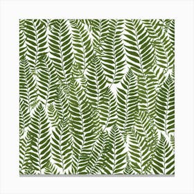 Fern Leaves 11 Canvas Print