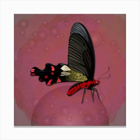 Mechanical Butterfly The Common Windmill Byasa Polyeuctes On A Pink Background Canvas Print