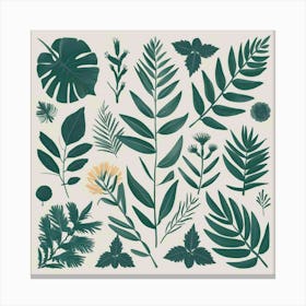 Botanical Leaves Canvas Print