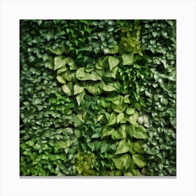 Green Wall Canvas Print